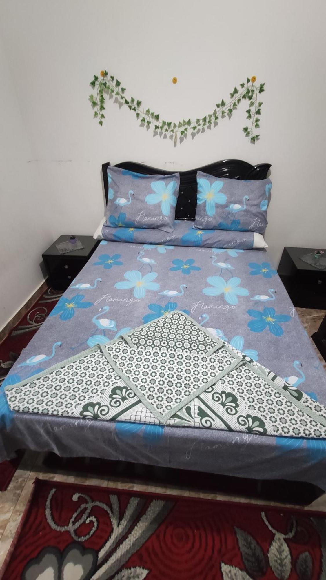 The Flowers Apartment Aleksandria Zewnętrze zdjęcie